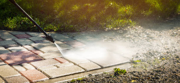 Best Fleet Vehicle Washing  in Kearney Park, MS